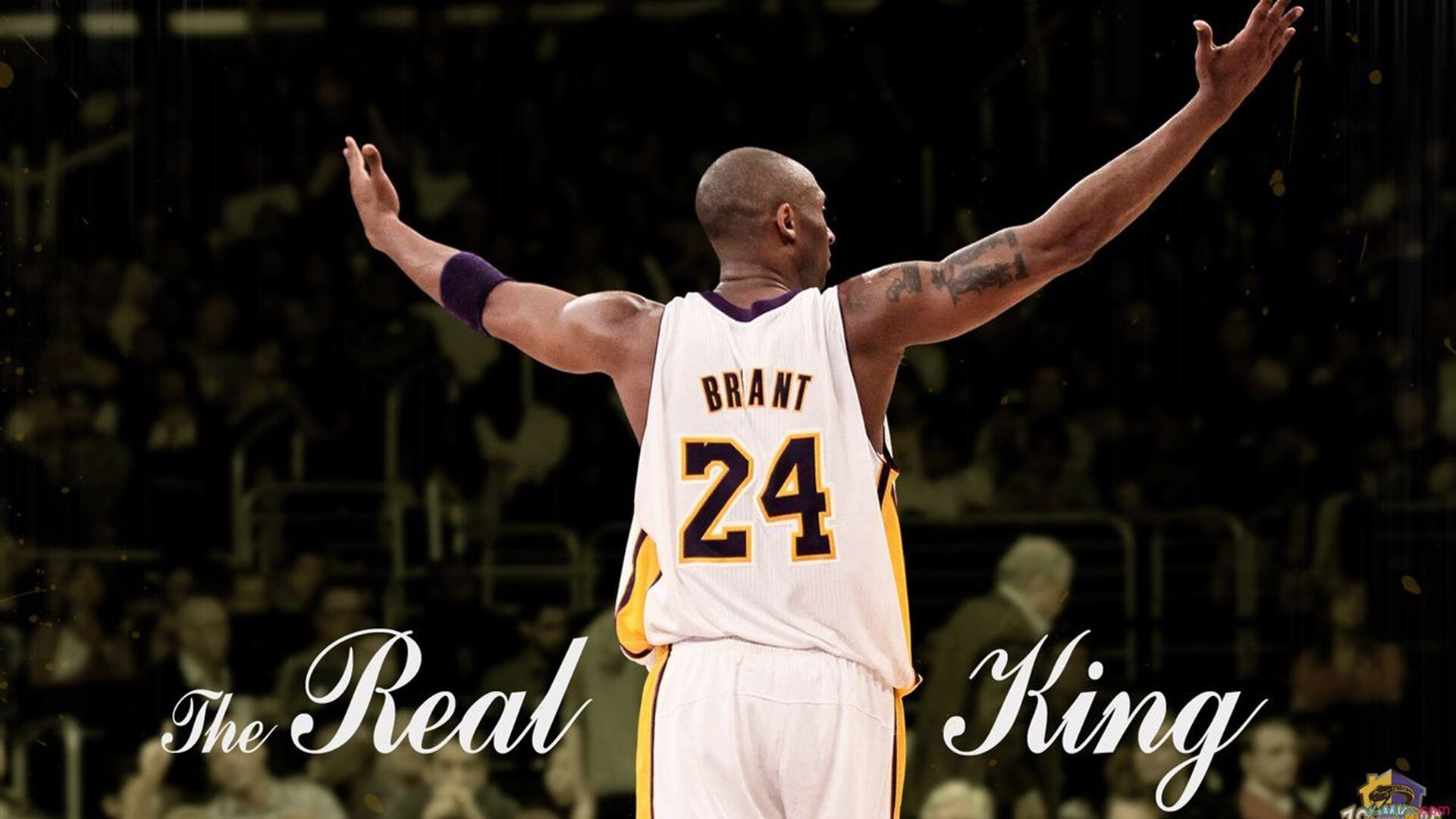 猛龙后卫连续砍分，带领球队逆转胜利，猛龙得分后卫